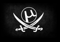 Программа развития интернета: продвижение проектов и борьба с пиратством