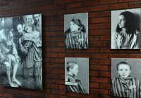 Выставка, прошедшая в Смоленске, подверглась цензуре ООН