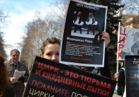 Выступление цирка Запашных в Смоленске вызвало волну протеста