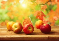Пять простых рецептов из яблок