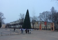 Новогоднюю ель установили на главной площади Смоленска