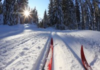 Во дворце спорта «Юбилейный» открылся прокат лыж