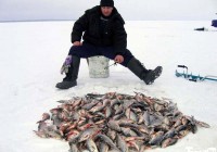 В Смоленской области определили 19 мест для зимней рыбалки