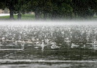 В Смоленске начался сезон дождей