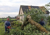 Мощный ураган прошелся по деревне Заозерье в Руднянском районе