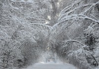 И снова снегопад: ночью Смоленск замело