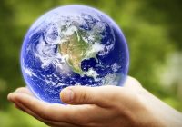 Экологический активизм: как предприниматель из Смоленска борется за чистоту планеты