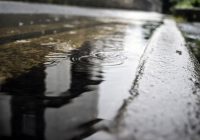 Новая неделя начнется в Смоленске с дождей