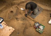 Археологи обнаружили в Гнёздове деревянный щит