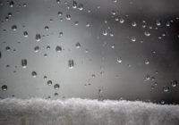 Сегодня в Смоленске ожидается дождь со снегом