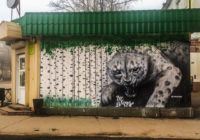 В Смоленске появилось новое экологическое граффити