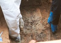 Иностранные СМИ рассказали о раскопках в Смоленске