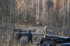 Изображение 150